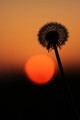 Soleil d'un soir